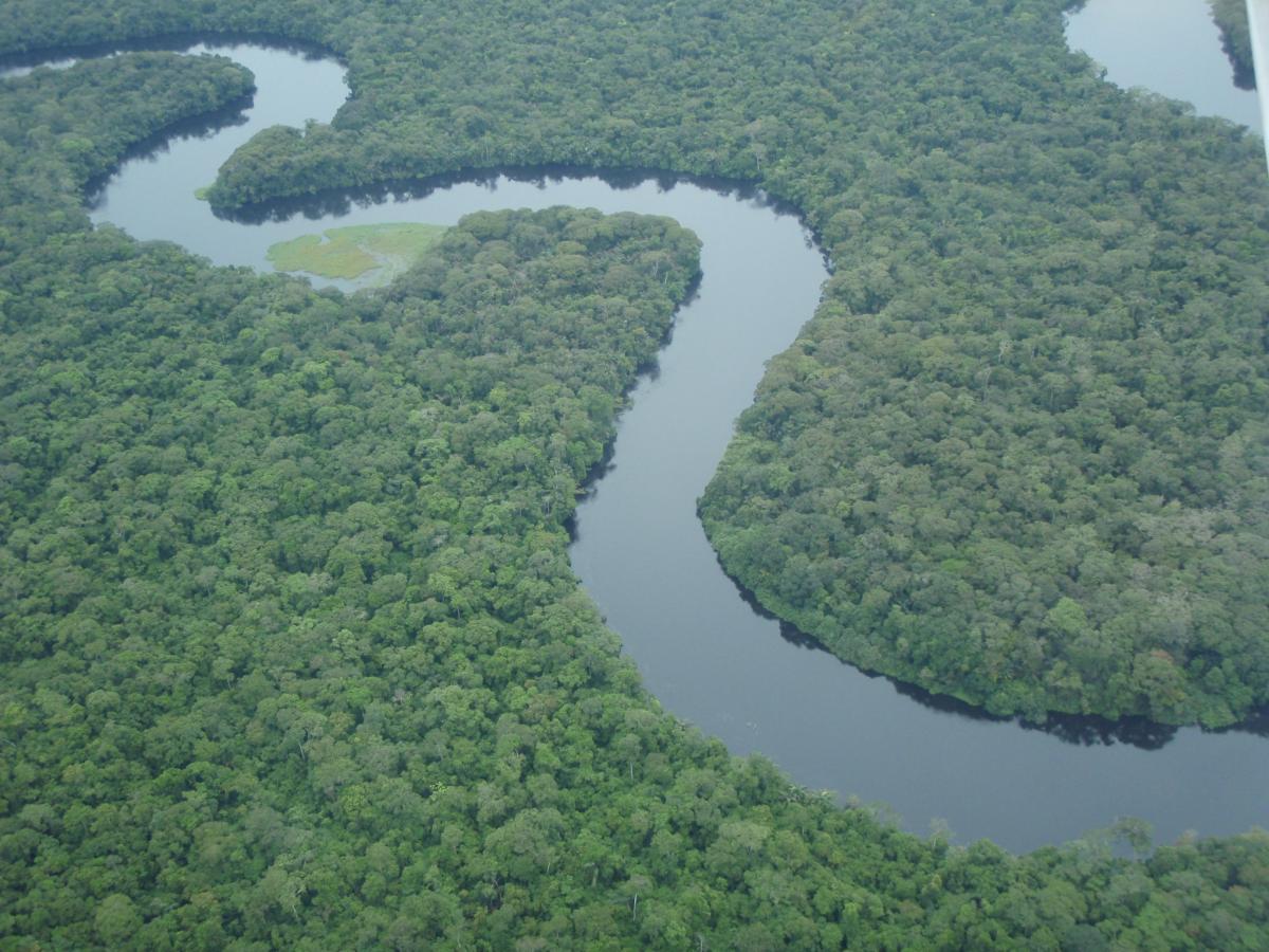 Vue aérienne des forêts du Parc National de la Salonga, RDC